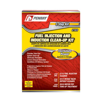 Fuel Injection and Induction Clean-Up 3-Step Kit